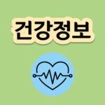 프로폴리스 추출물 항산화작용 항균작용 개별인정원료