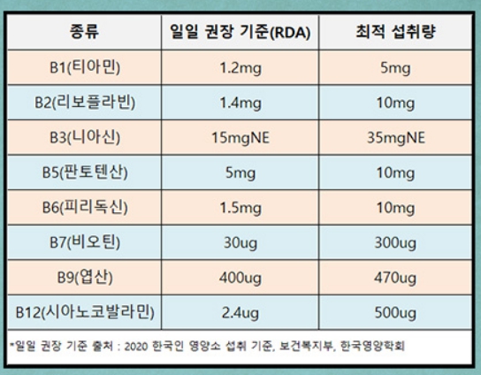 비타민B 섭취량 기준