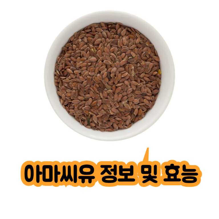 식물성필수지방산 아마씨유 효능 및 정보