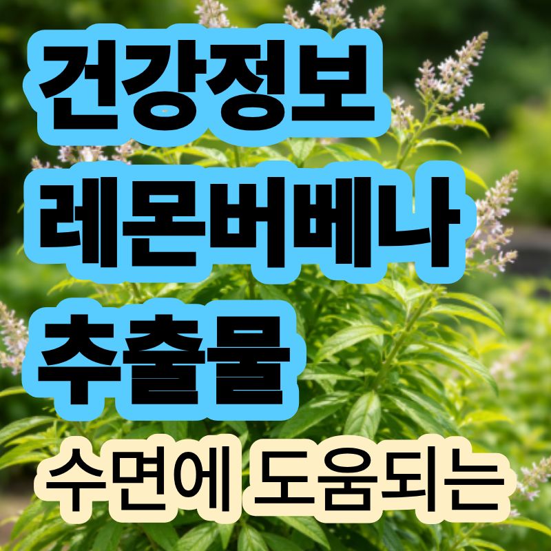 레몬버베나추출물 레몬버베나 효능