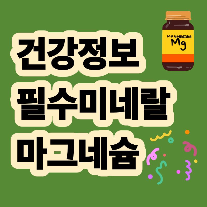 필수미네랄 마그네슘 효능 MG