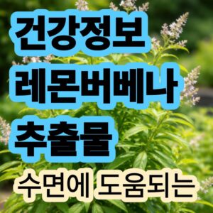 레몬버베나추출물 효능 및 수면 개선과 숙면 도움 기능성 원료