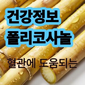 폴리코사놀 의미 및 혈관청소부라고 불리는 이유