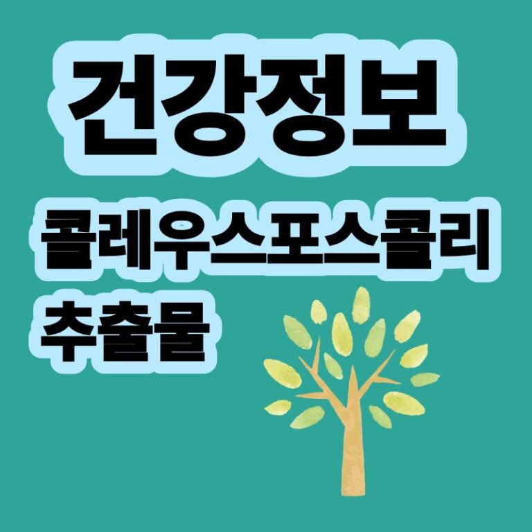 콜레우스포스콜리 추출물