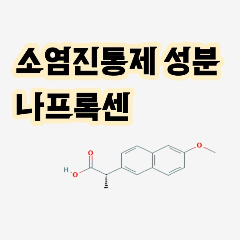 소염진통제 성분 나프록센