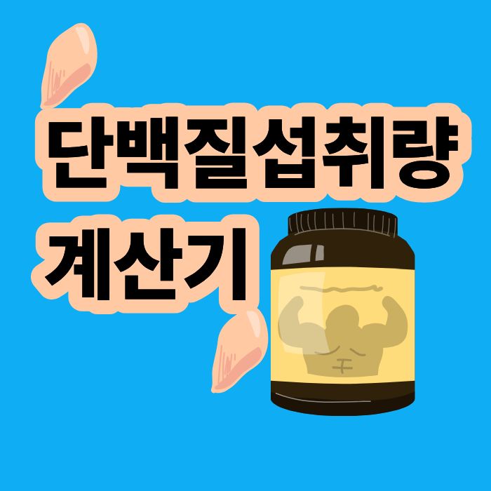 체중과 운동 목적에 따른 하루 단백질 섭취량 계산기
