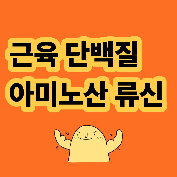 류신 효능은 근육 단백질 합성 역할과 보충제 섭취 기준