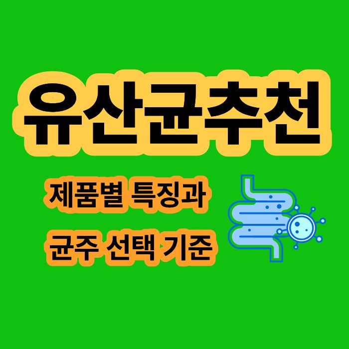 유산균 추천 5가지 제품별 특징과 균주 선택 기준