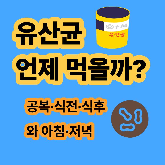 유산균은 언제 먹어야 할까 공복·식전·식후와 아침·저녁 선택법