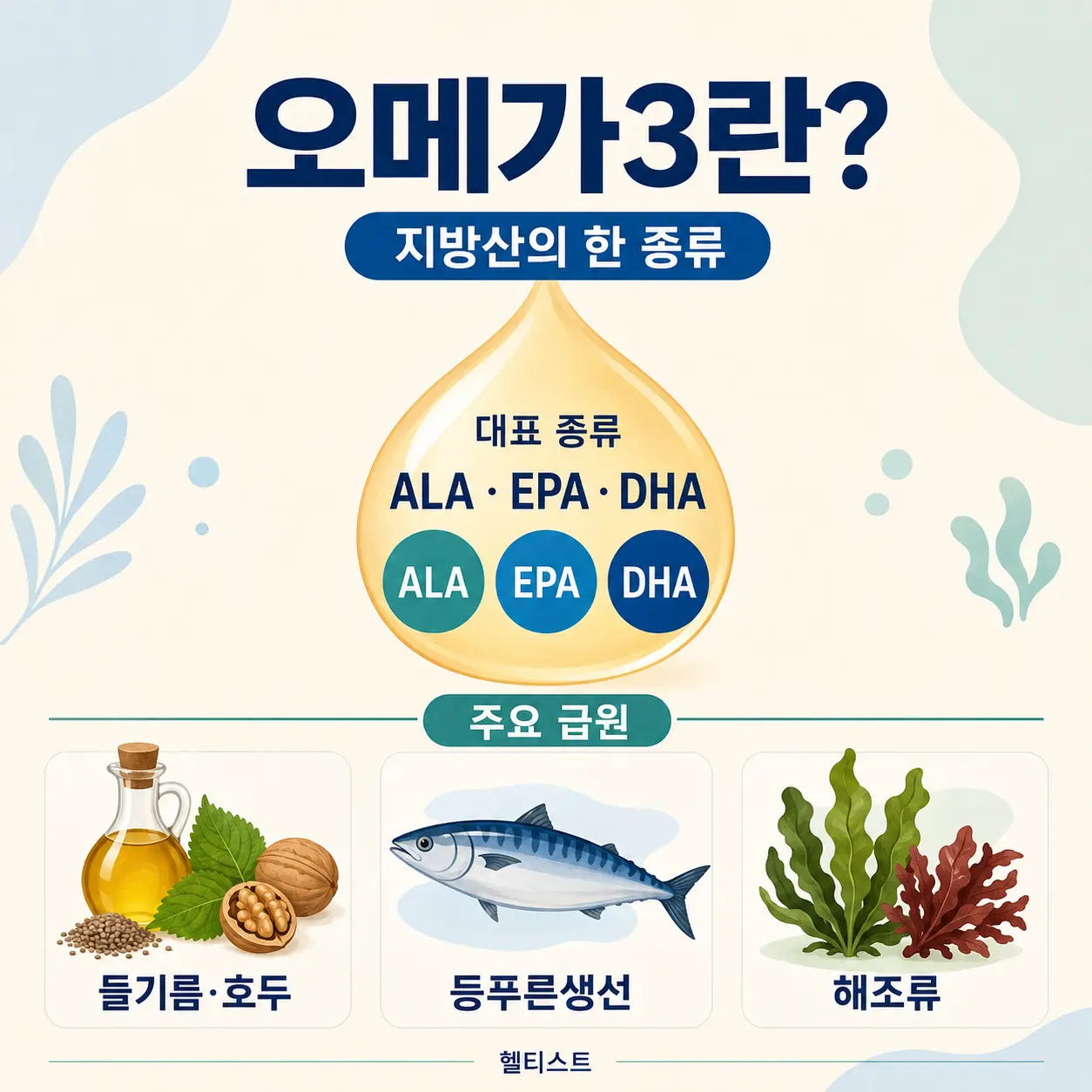 오메가3 지방산의 종류인 ALA EPA DHA와 주요 식품 급원을 정리한 이미지
