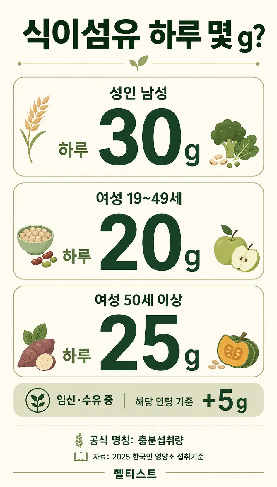 2025 한국인 영양소 섭취기준에 따른 성인 남성 하루 30g과 여성 연령별 20~25g의 식이섬유 충분섭취량