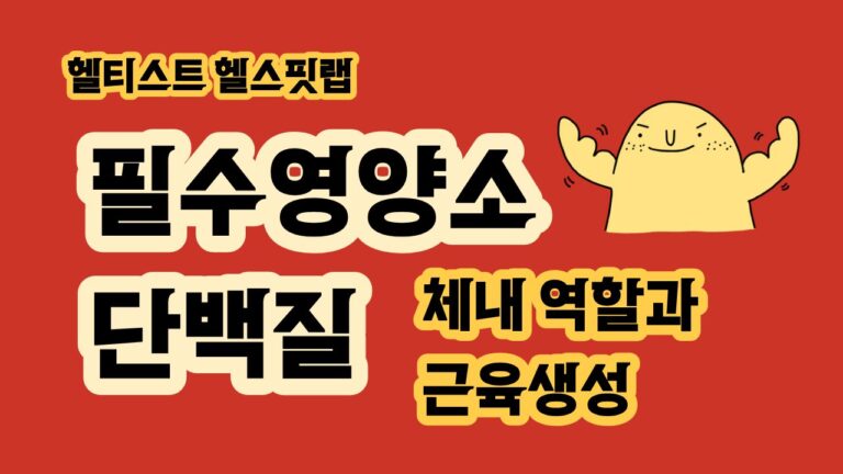 단백질 이란 체내 역할과 근육을 만드는 데 필요한 이유