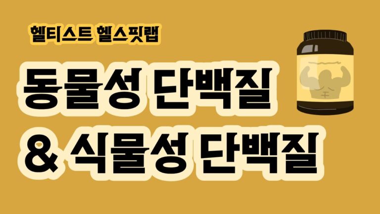 동물성 단백질과 식물성 단백질 차이