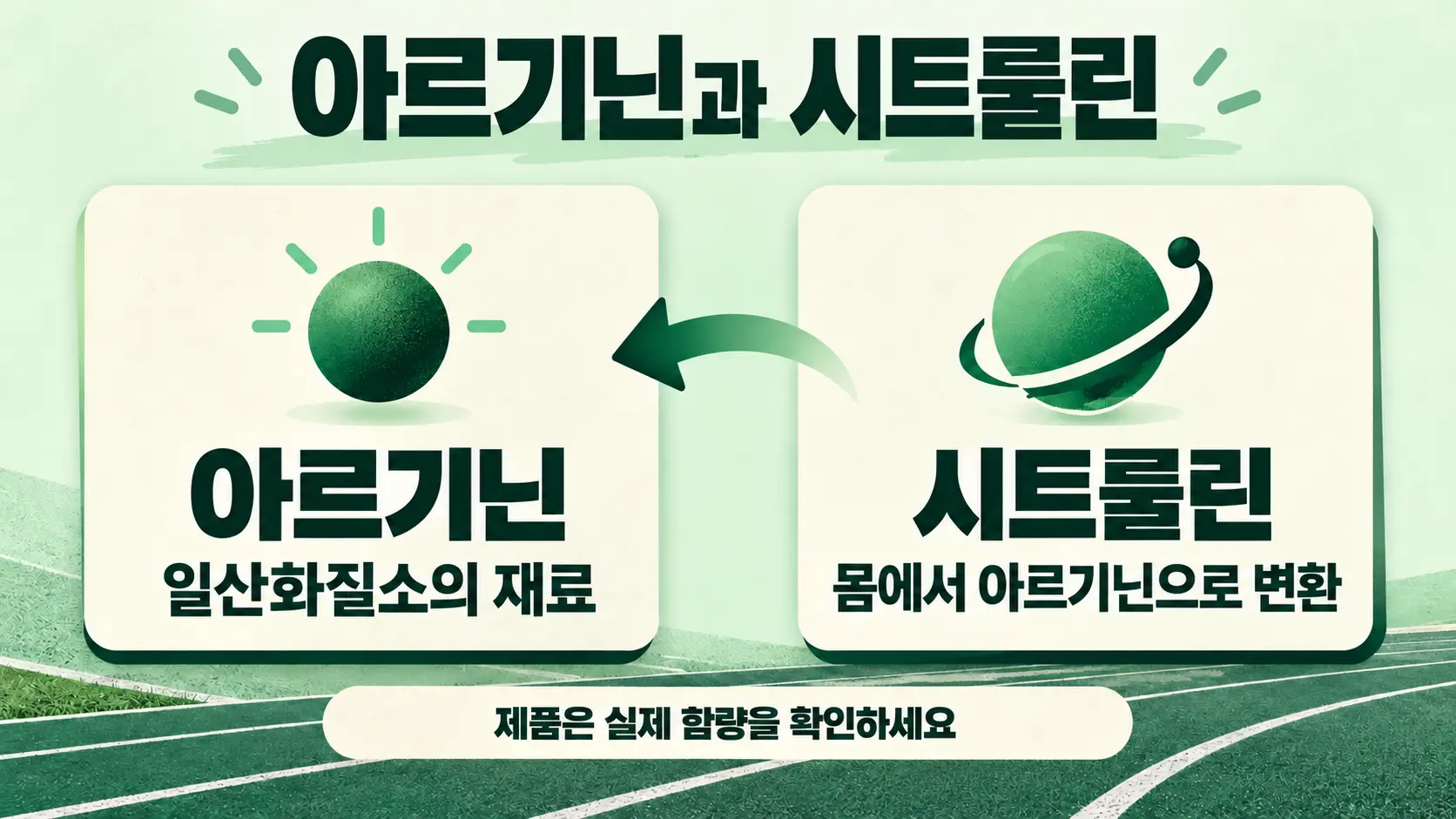 시트룰린이 아르기닌으로 전환되고 일산화질소 생성 과정에 이어지는 관계를 보여주는 이미지