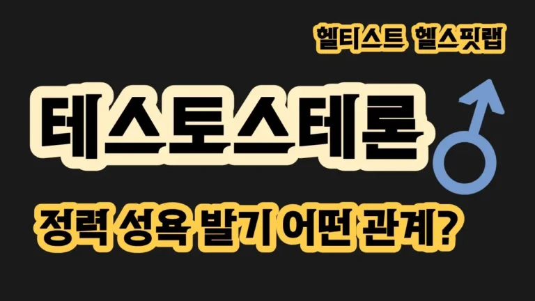 테스토스테론 정력 성욕 발기 관계 그리고 검사 치료